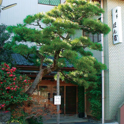 Exterior of RYOUTEI HONDA